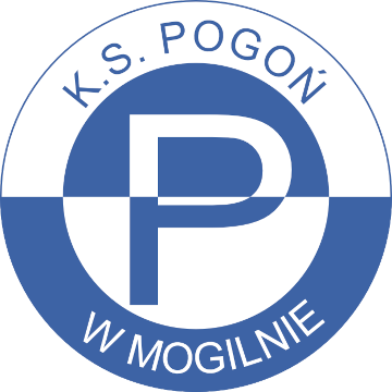 project 1 company logo